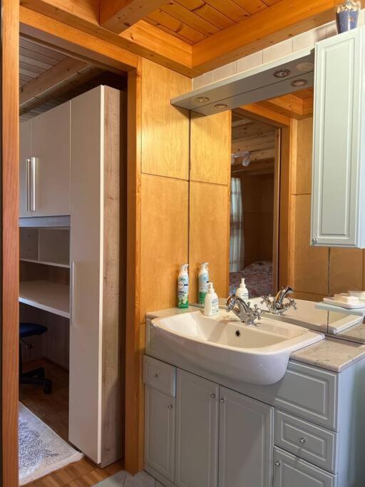 Apartamento A Hilarious Hideaway In Roveredo Exterior foto